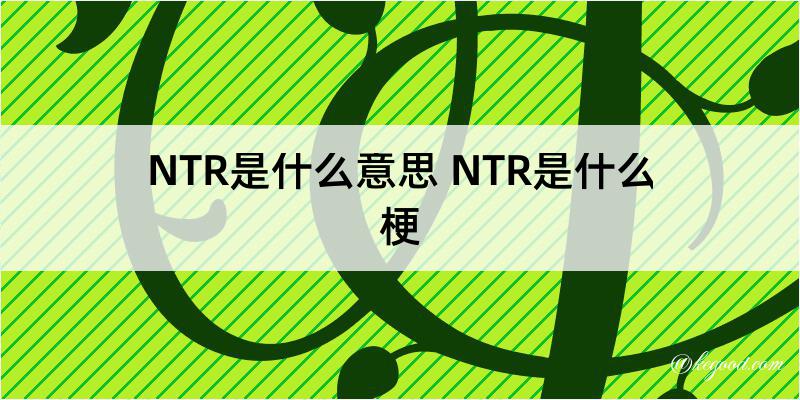 NTR是什么意思 NTR是什么梗